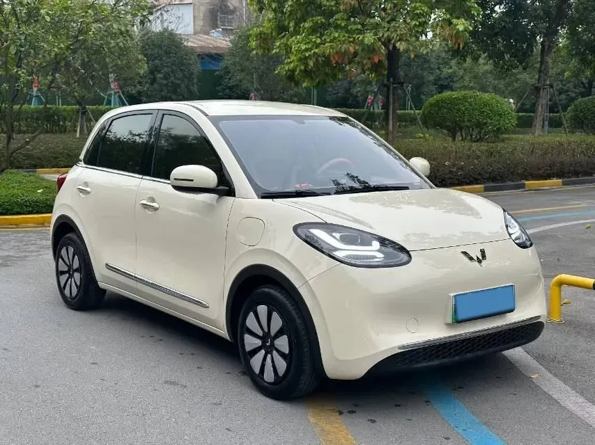 2024 WuLing BinGuo BEV 31.9KWH,autocango,china used car exporter,china ev exporter,chinese used car exporter,chinese used ev exporter