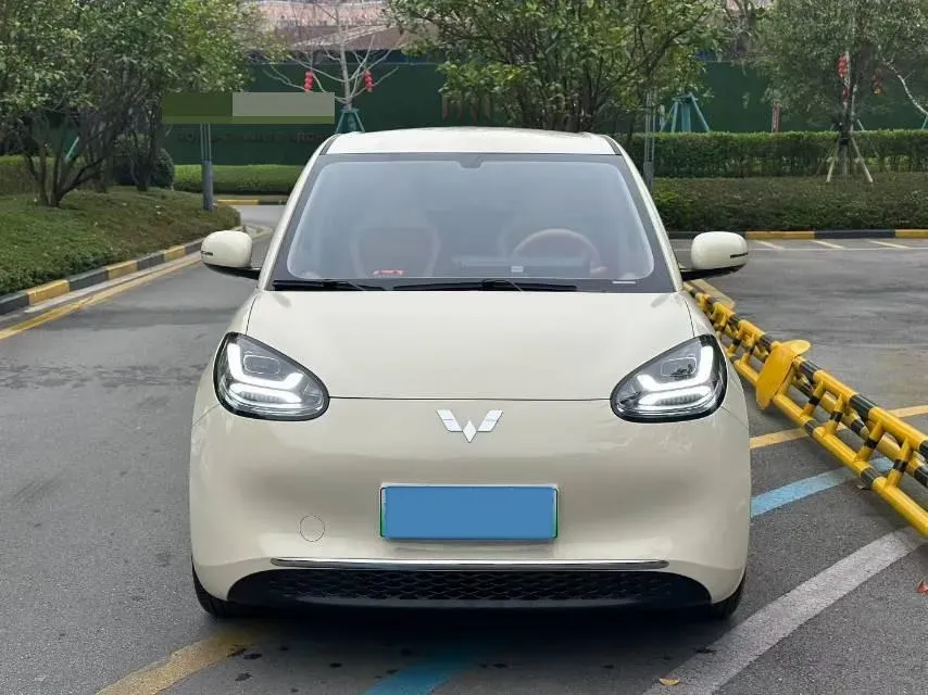 2024 WuLing BinGuo BEV 31.9KWH,autocango,china used car exporter,china ev exporter,chinese used car exporter,chinese used ev exporter