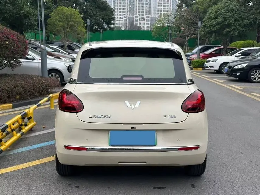 2024 WuLing BinGuo BEV 31.9KWH,autocango,china used car exporter,china ev exporter,chinese used car exporter,chinese used ev exporter