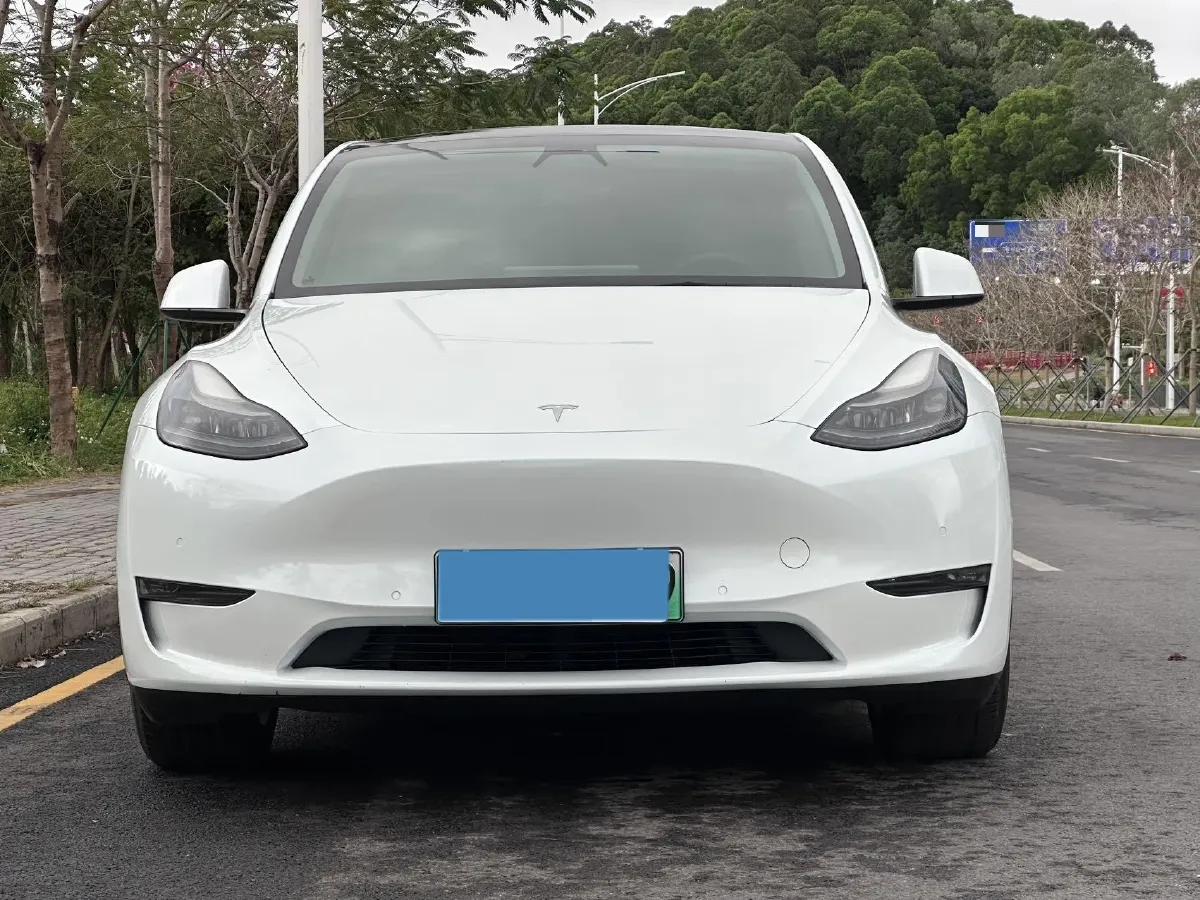 2021 Tesla Model 3 BEV 76.8KWH,autocango,china used car exporter,china ev exporter,chinese used car exporter,chinese used ev exporter