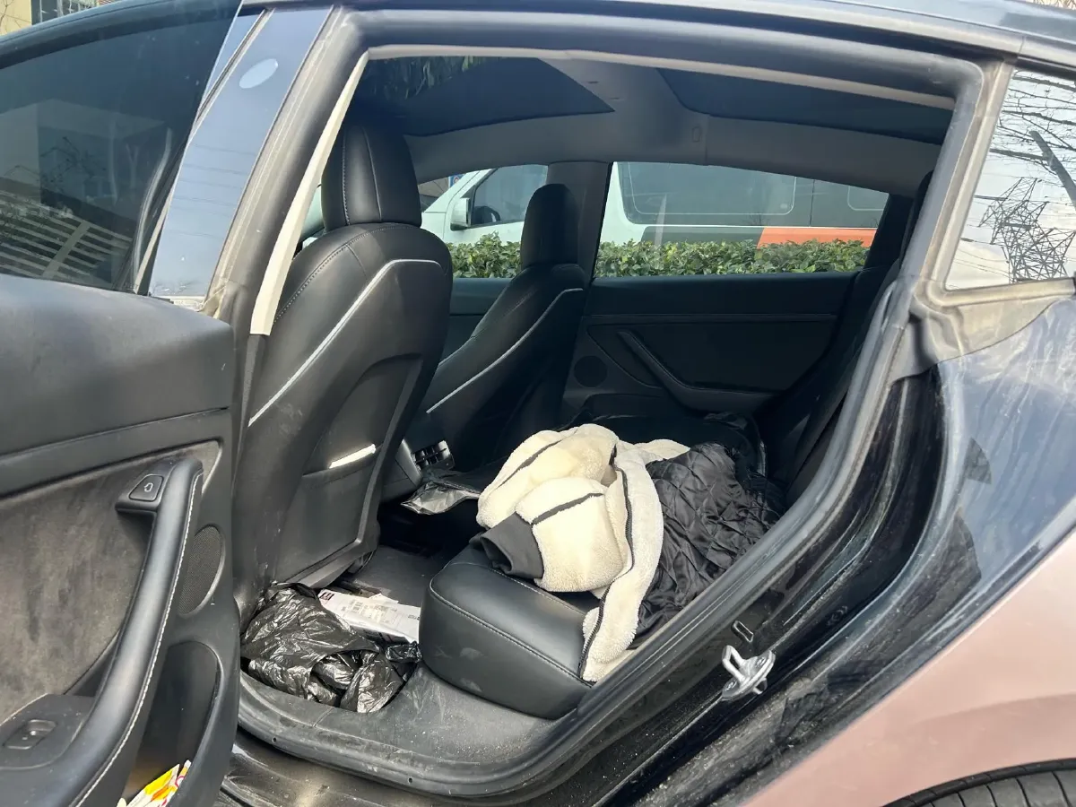 2022 Tesla Model 3 BEV 60KWH,autocango,china used car exporter,china ev exporter,chinese used car exporter,chinese used ev exporter