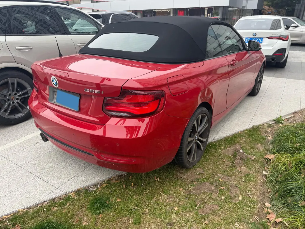 2019 BMW 2 Series 2.0T 184HP L4 8AT,autocango,china used car exporter,china ev exporter,chinese used car exporter,chinese used ev exporter