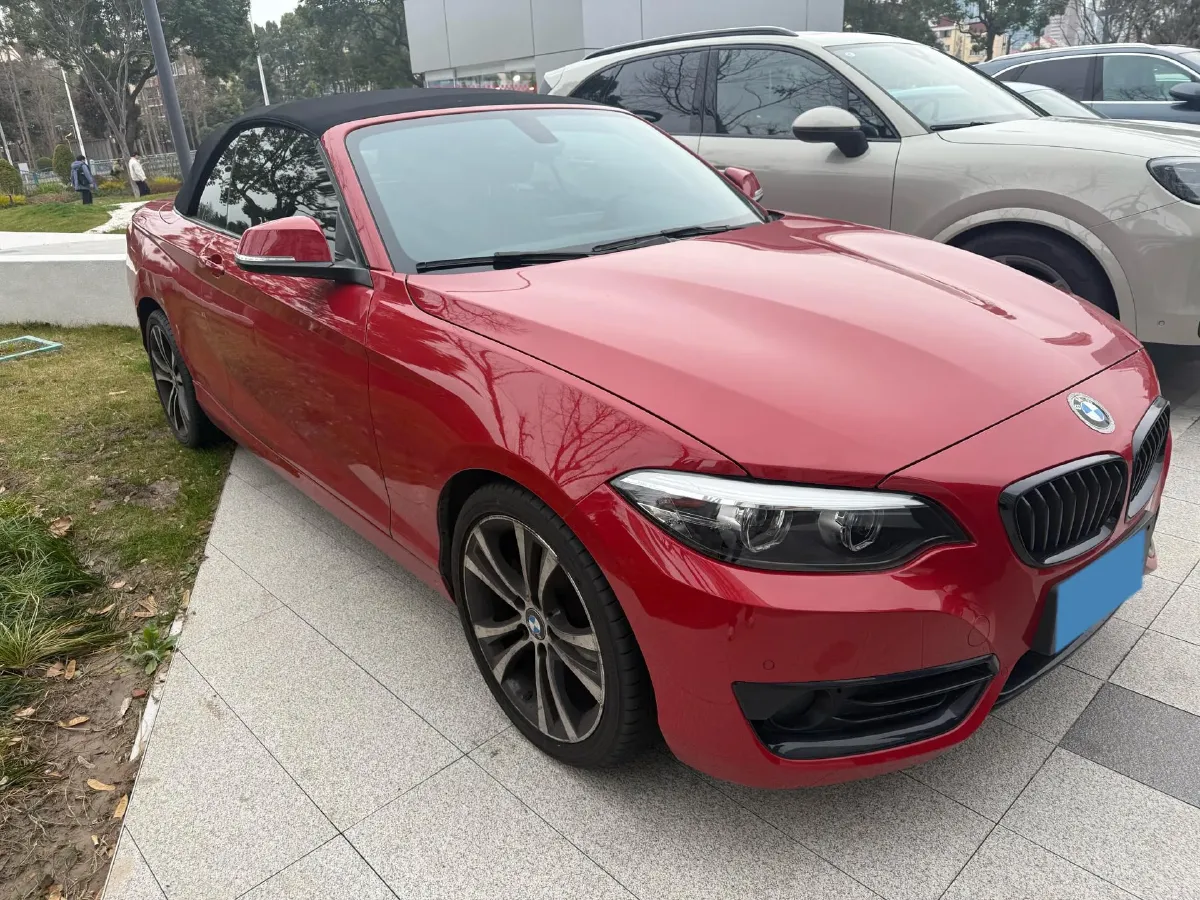 2019 BMW 2 Series 2.0T 184HP L4 8AT,autocango,china used car exporter,china ev exporter,chinese used car exporter,chinese used ev exporter