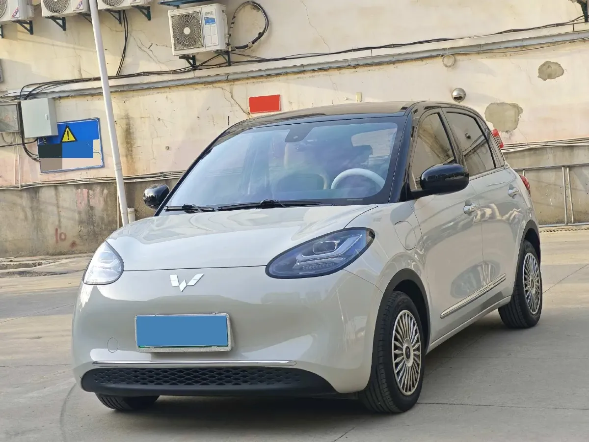 2024 WuLing BinGuo BEV 31.9KWH,autocango,china used car exporter,china ev exporter,chinese used car exporter,chinese used ev exporter