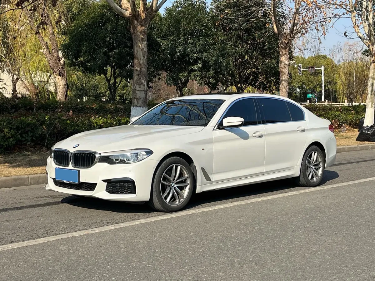2020 BMW 5 Series 2.0T 184HP L4 8AT,autocango,china used car exporter,china ev exporter,chinese used car exporter,chinese used ev exporter