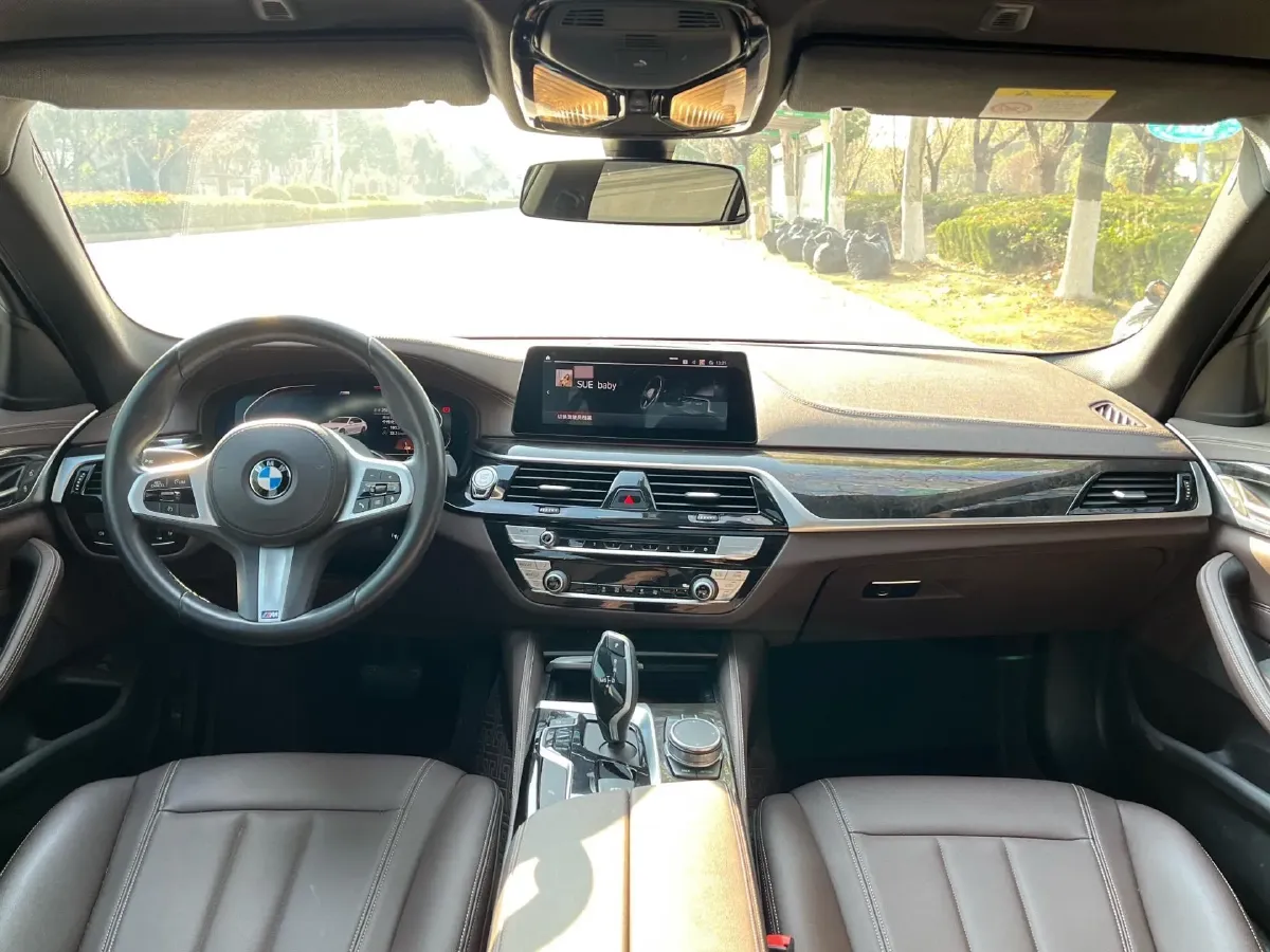 2020 BMW 5 Series 2.0T 184HP L4 8AT,autocango,china used car exporter,china ev exporter,chinese used car exporter,chinese used ev exporter