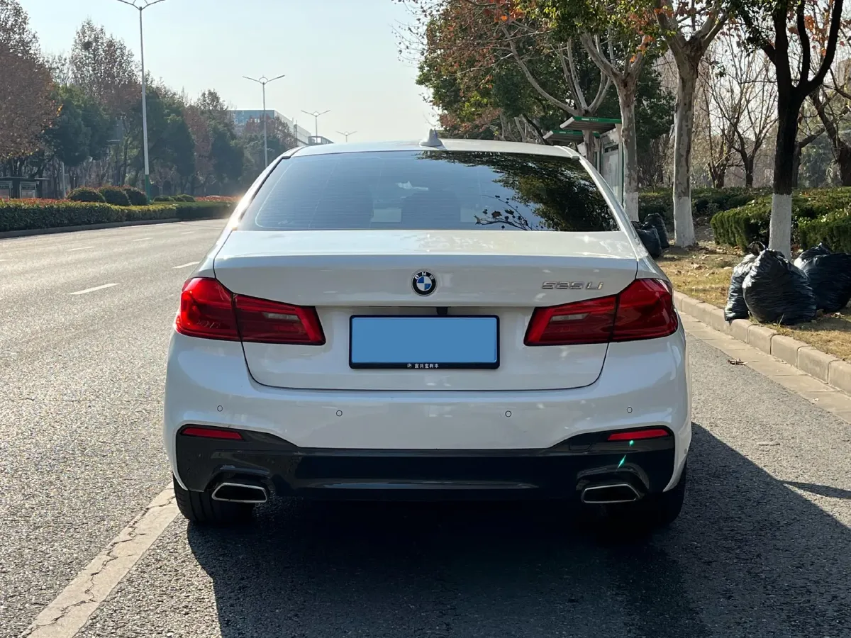 2020 BMW 5 Series 2.0T 184HP L4 8AT,autocango,china used car exporter,china ev exporter,chinese used car exporter,chinese used ev exporter
