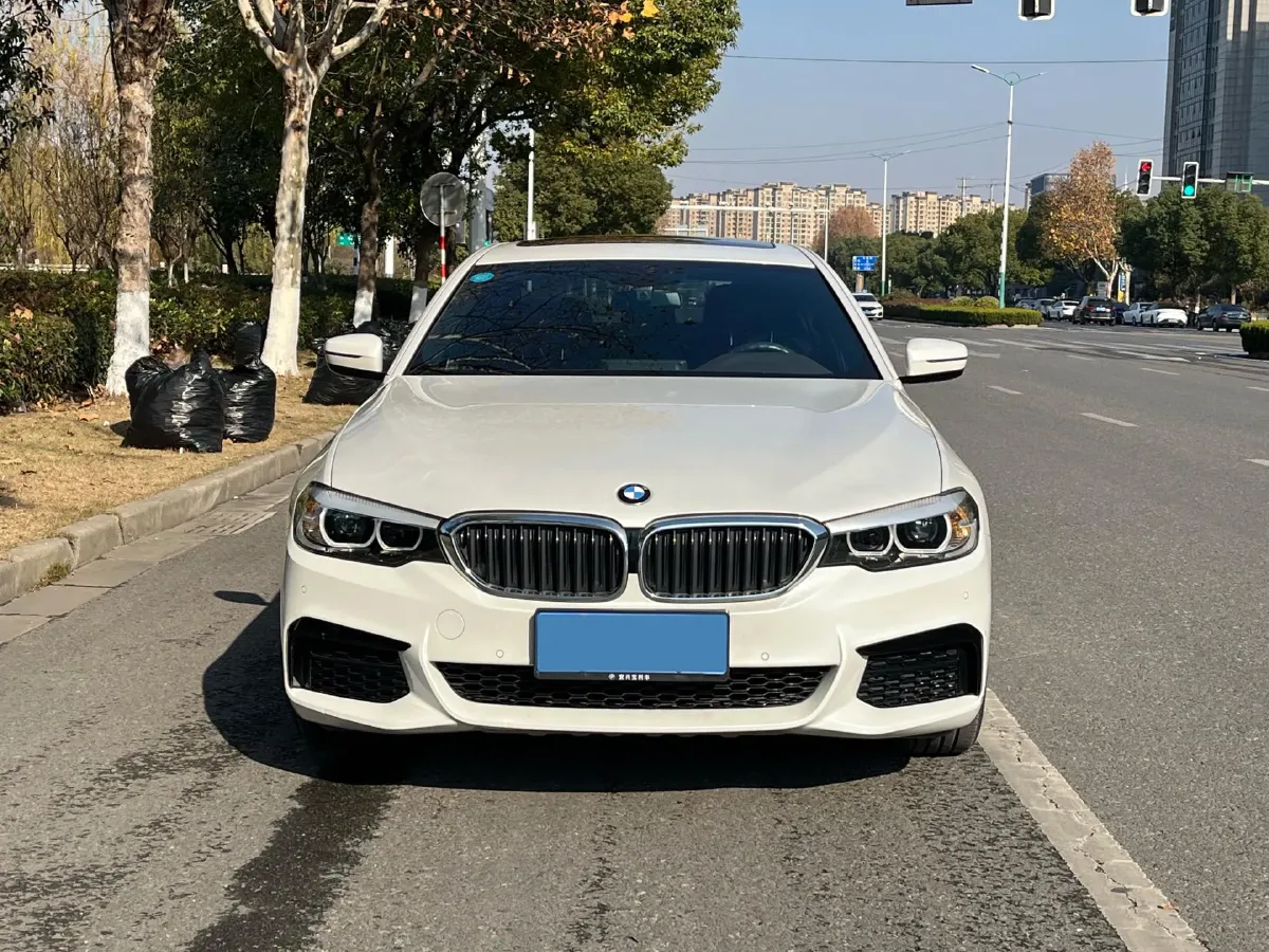 2020 BMW 5 Series 2.0T 184HP L4 8AT,autocango,china used car exporter,china ev exporter,chinese used car exporter,chinese used ev exporter
