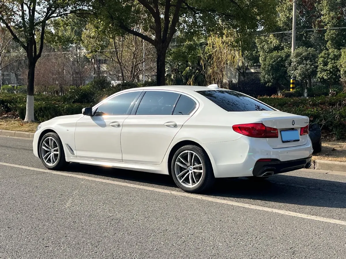 2020 BMW 5 Series 2.0T 184HP L4 8AT,autocango,china used car exporter,china ev exporter,chinese used car exporter,chinese used ev exporter