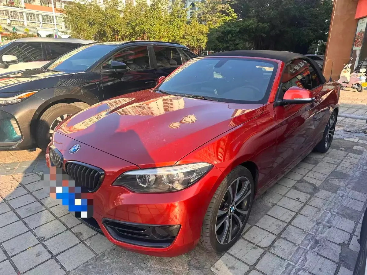 2019 BMW 2 Series 2.0T 184HP L4 8AT,autocango,china used car exporter,china ev exporter,chinese used car exporter,chinese used ev exporter
