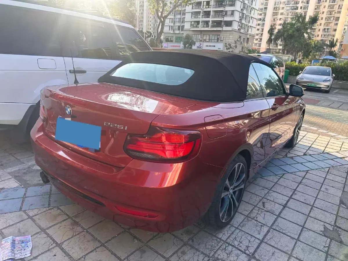 2019 BMW 2 Series 2.0T 184HP L4 8AT,autocango,china used car exporter,china ev exporter,chinese used car exporter,chinese used ev exporter