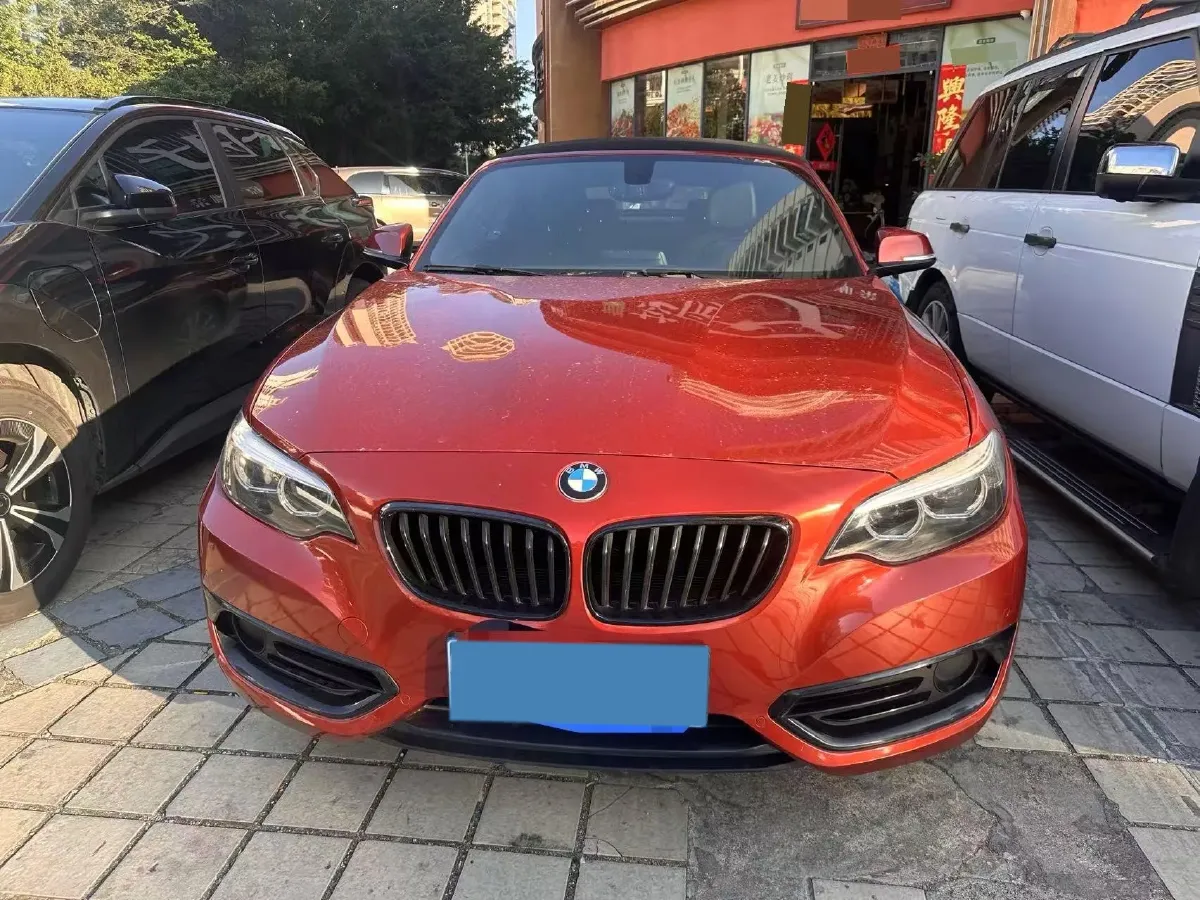 2019 BMW 2 Series 2.0T 184HP L4 8AT,autocango,china used car exporter,china ev exporter,chinese used car exporter,chinese used ev exporter