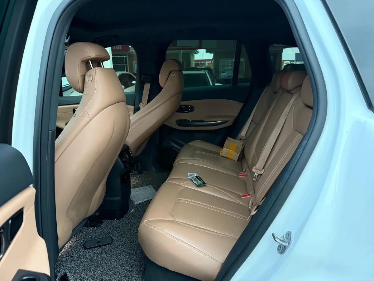 2020 Lexus NX 2.5L 155HP L4 E-CVT Hybrid,autocango,china used car exporter,china ev exporter,chinese used car exporter,chinese used ev exporter