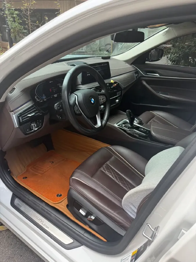 2020 BMW 5 Series 2.0T 184HP L4 8AT PHEV 17.7KWH,autocango,china used car exporter,china ev exporter,chinese used car exporter,chinese used ev exporter