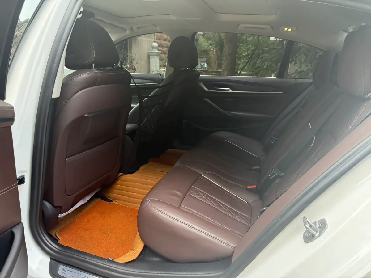 2020 BMW 5 Series 2.0T 184HP L4 8AT PHEV 17.7KWH,autocango,china used car exporter,china ev exporter,chinese used car exporter,chinese used ev exporter