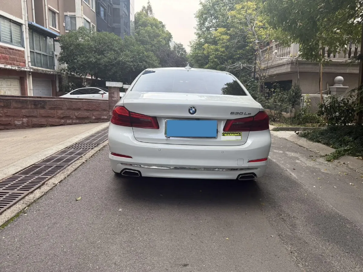 2020 BMW 5 Series 2.0T 184HP L4 8AT PHEV 17.7KWH,autocango,china used car exporter,china ev exporter,chinese used car exporter,chinese used ev exporter