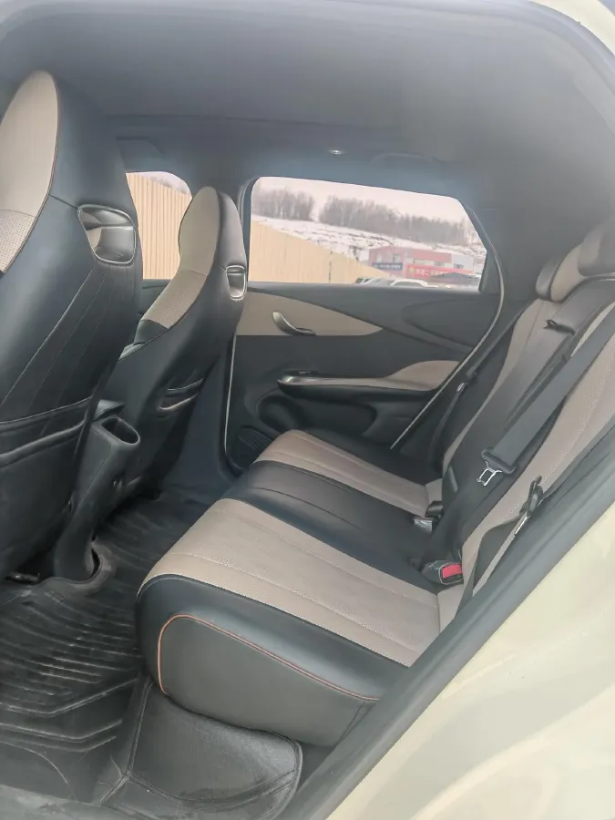 2023 BYD Dolphin BEV 44.928KWH,autocango,china used car exporter,china ev exporter,chinese used car exporter,chinese used ev exporter