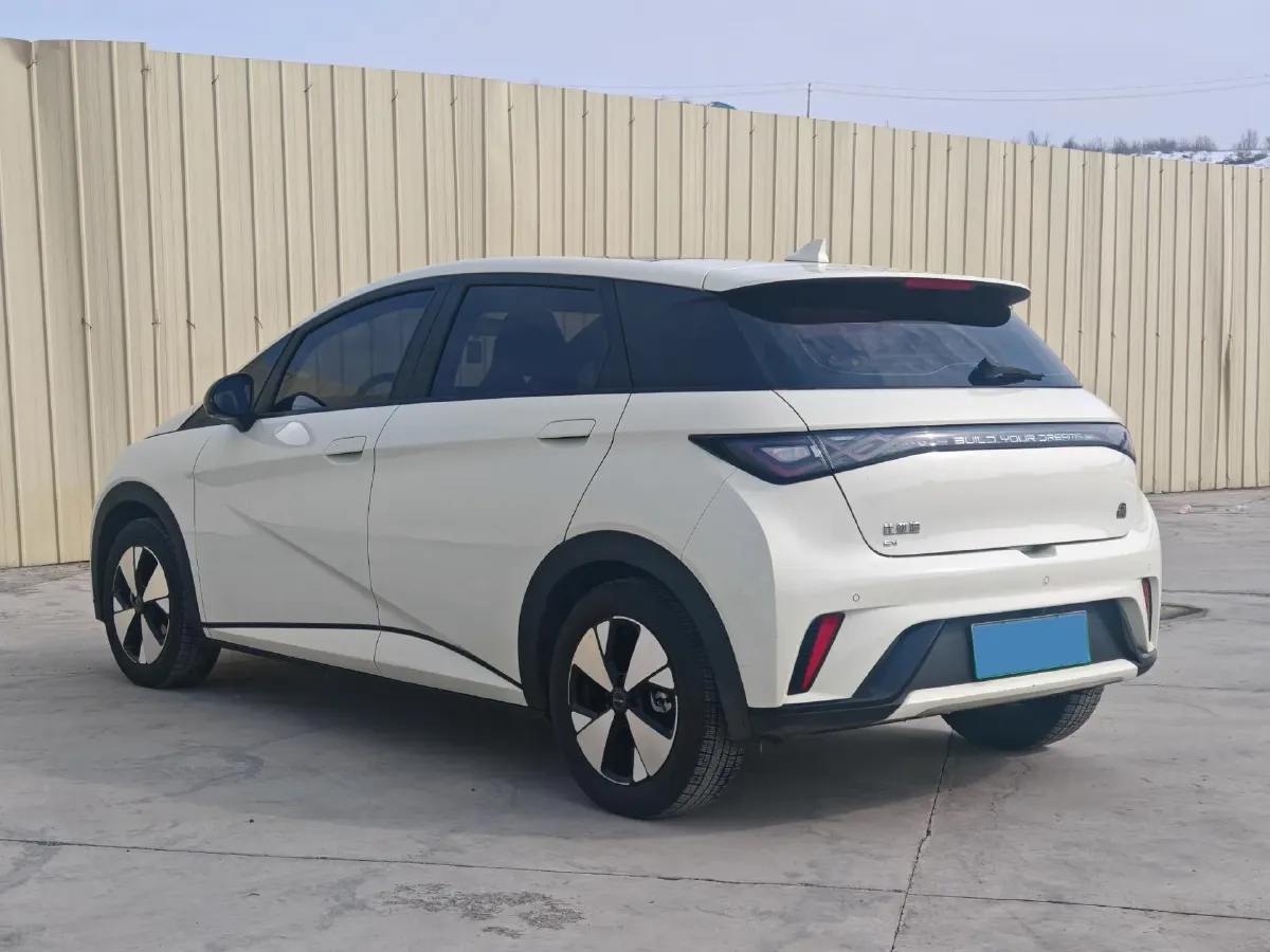 2023 BYD Dolphin BEV 44.928KWH,autocango,china used car exporter,china ev exporter,chinese used car exporter,chinese used ev exporter