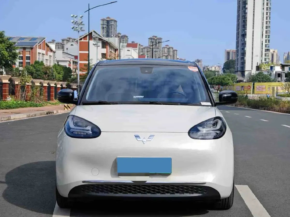 2023 WuLing BinGuo BEV 37.9KWH,autocango,china used car exporter,china ev exporter,chinese used car exporter,chinese used ev exporter