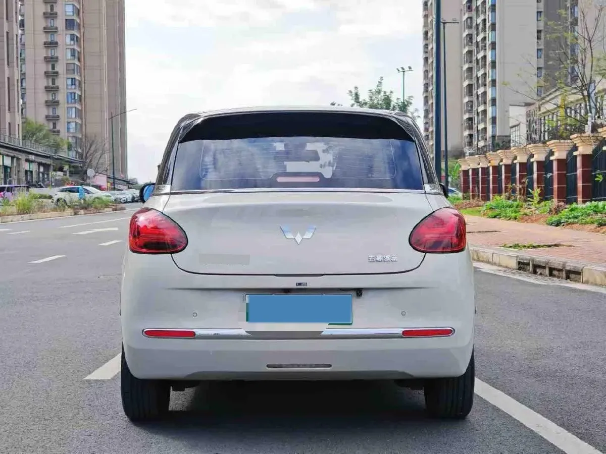 2023 WuLing BinGuo BEV 37.9KWH,autocango,china used car exporter,china ev exporter,chinese used car exporter,chinese used ev exporter