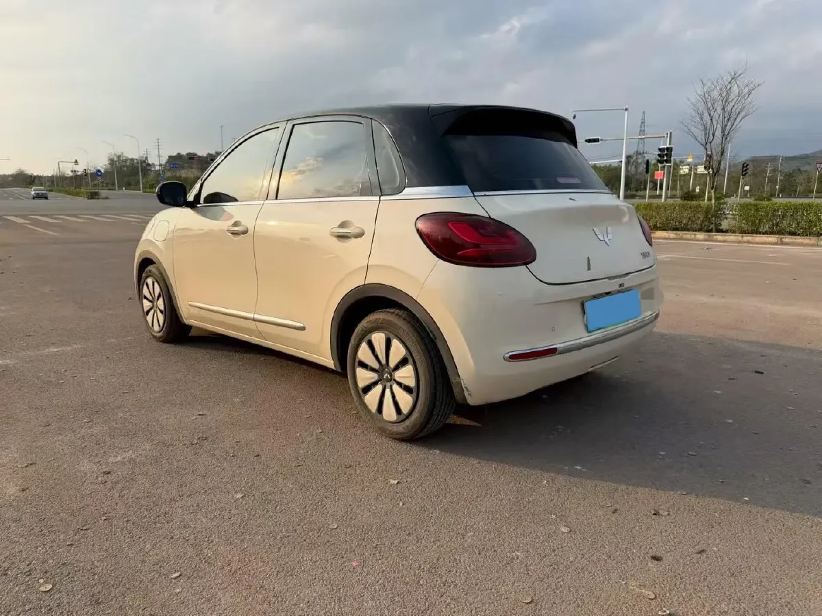2025 WuLing BinGuo BEV,autocango,china used car exporter,china ev exporter,chinese used car exporter,chinese used ev exporter