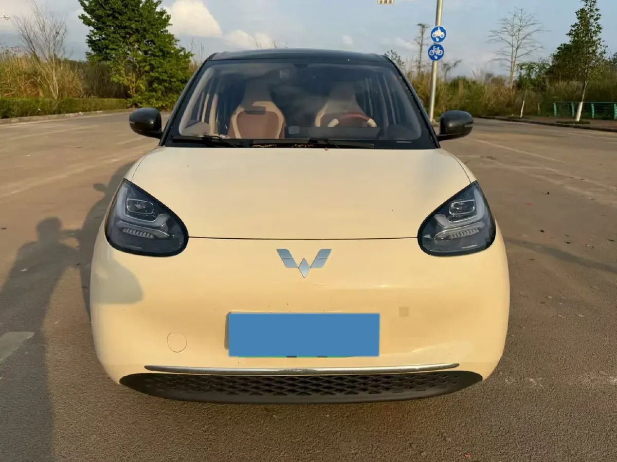 2025 WuLing BinGuo BEV,autocango,china used car exporter,china ev exporter,chinese used car exporter,chinese used ev exporter