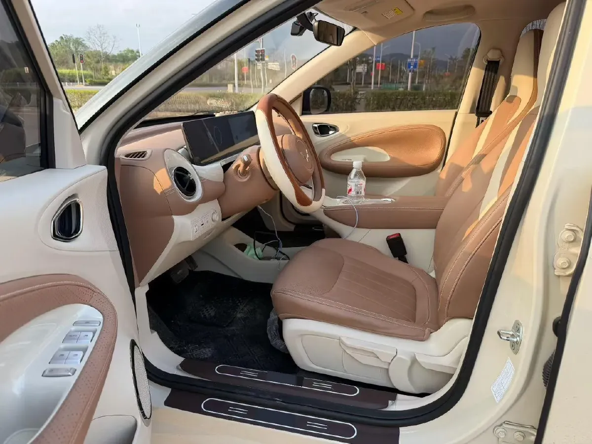 2025 WuLing BinGuo BEV,autocango,china used car exporter,china ev exporter,chinese used car exporter,chinese used ev exporter