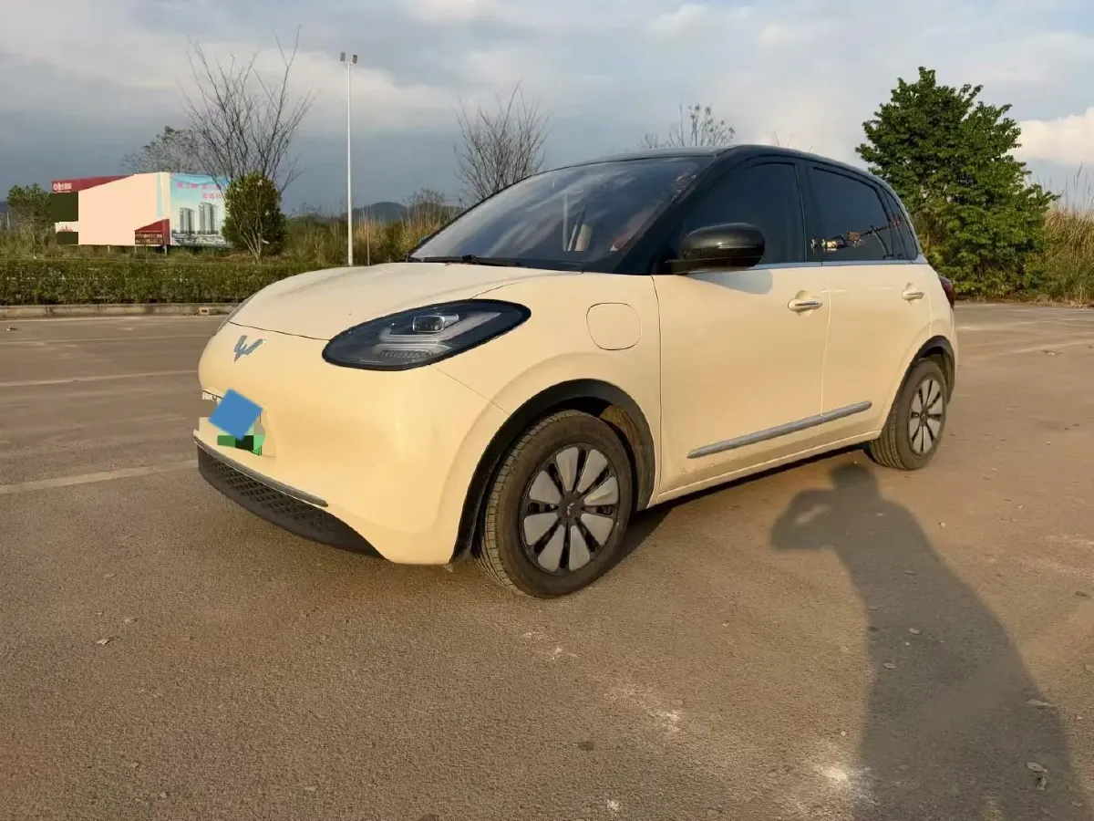 2025 WuLing BinGuo BEV,autocango,china used car exporter,china ev exporter,chinese used car exporter,chinese used ev exporter