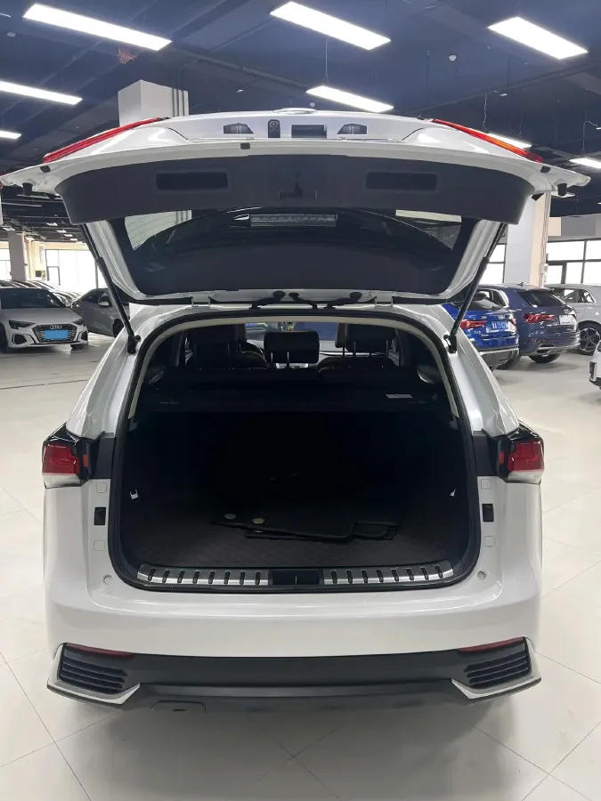 2020 Lexus NX 2.0L 150HP L4 CVT,autocango,china used car exporter,china ev exporter,chinese used car exporter,chinese used ev exporter