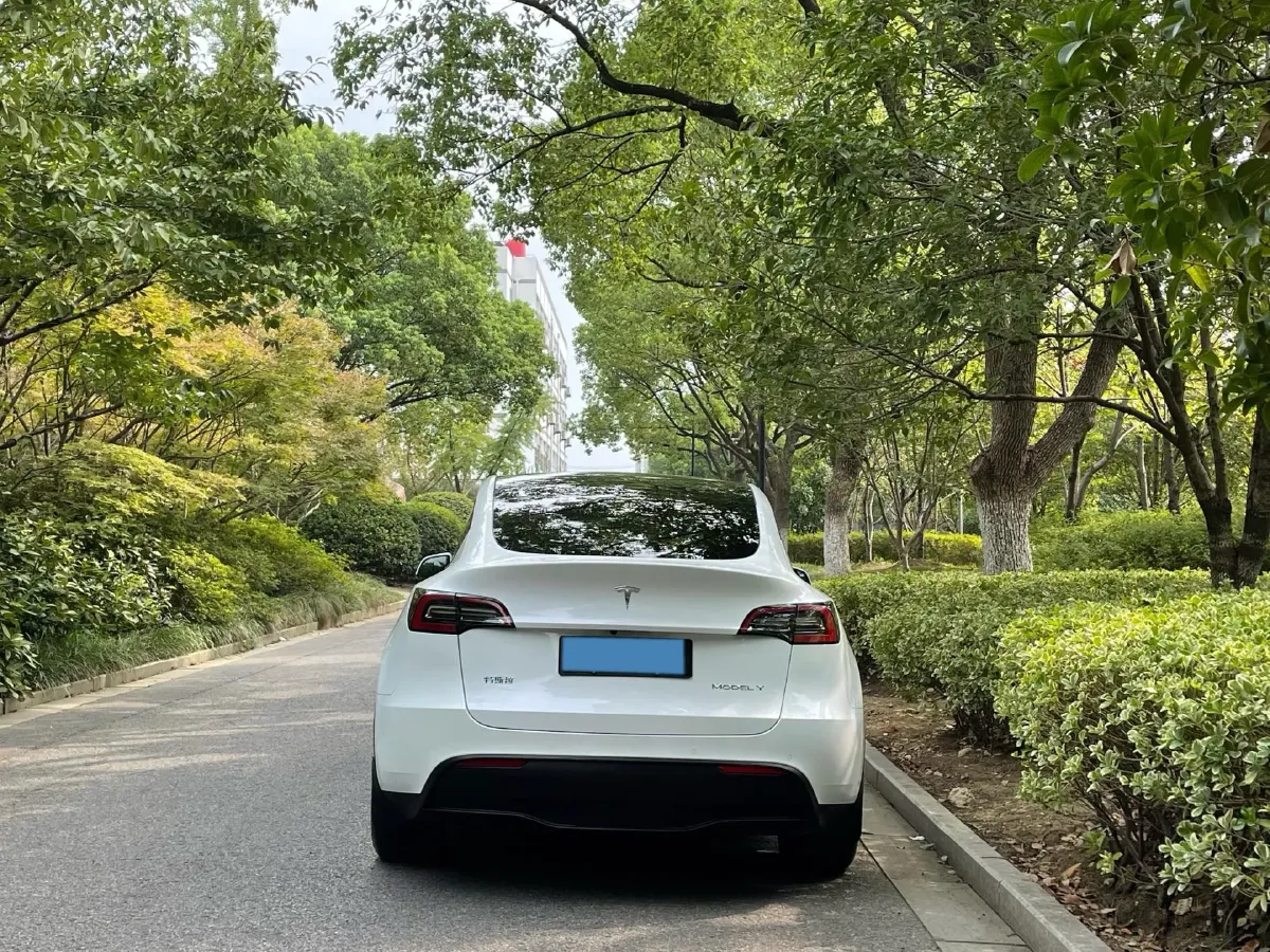2022 Tesla Model Y BEV 60KWH,autocango,china used car exporter,china ev exporter,chinese used car exporter,chinese used ev exporter