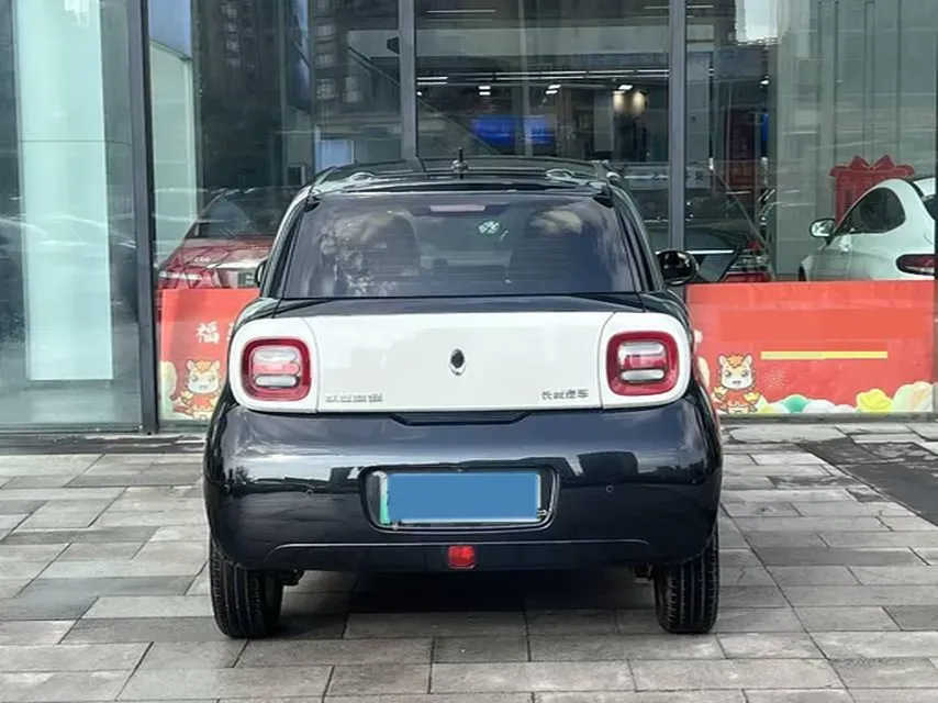 2022 DaYun YueHu BEV 30.66KWH,autocango,china used car exporter,china ev exporter,chinese used car exporter,chinese used ev exporter