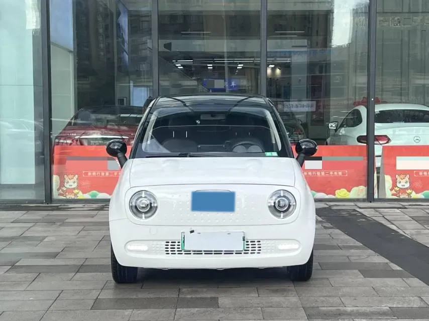 2022 DaYun YueHu BEV 30.66KWH,autocango,china used car exporter,china ev exporter,chinese used car exporter,chinese used ev exporter