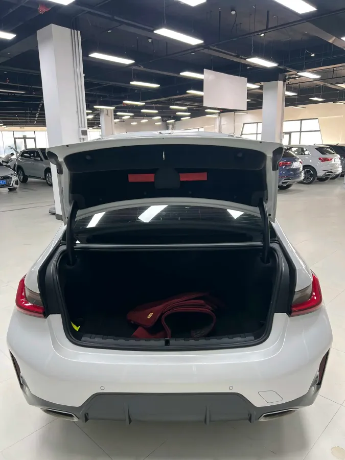 2023 BMW 3 Series 2.0T 156HP L4 8AT,autocango,china used car exporter,china ev exporter,chinese used car exporter,chinese used ev exporter