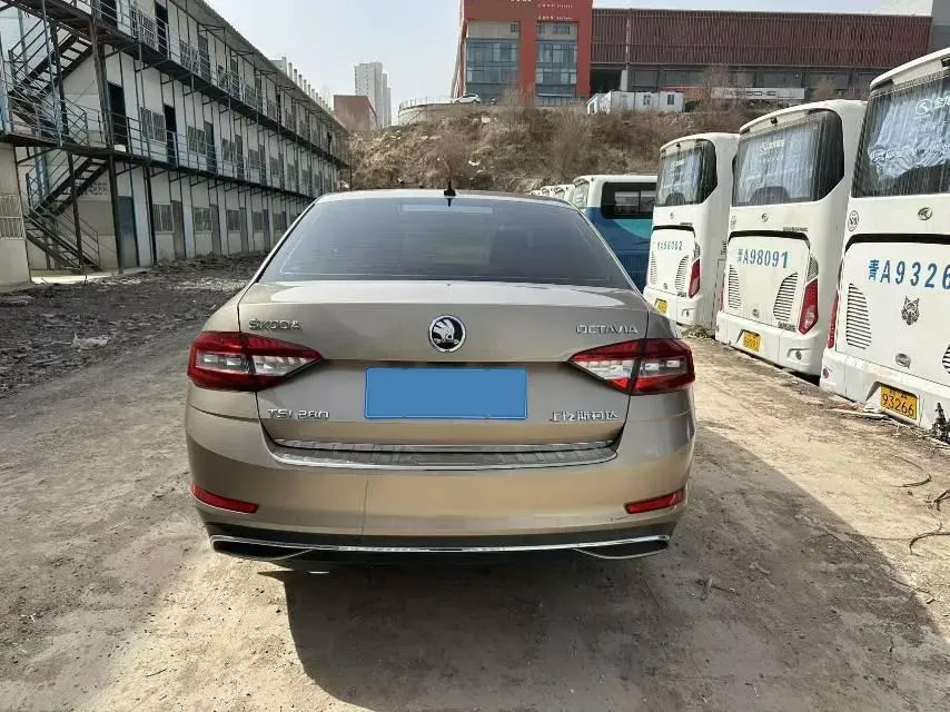 2019 Skoda Octavia 1.2T 116HP L4 7DCT,autocango,china used car exporter,china ev exporter,chinese used car exporter,chinese used ev exporter
