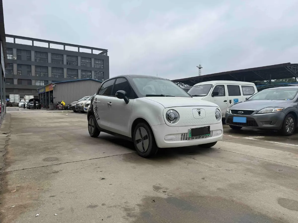 2022 Ora BlackCat BEV 30.3KWH,autocango,china used car exporter,china ev exporter,chinese used car exporter,chinese used ev exporter