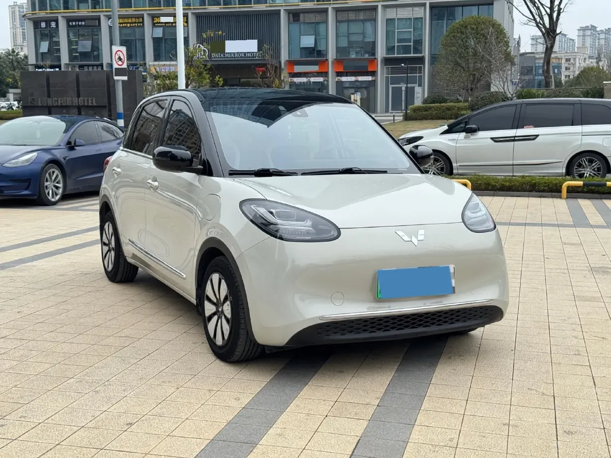 2023 WuLing BinGuo BEV 31.9KWH,autocango,china used car exporter,china ev exporter,chinese used car exporter,chinese used ev exporter