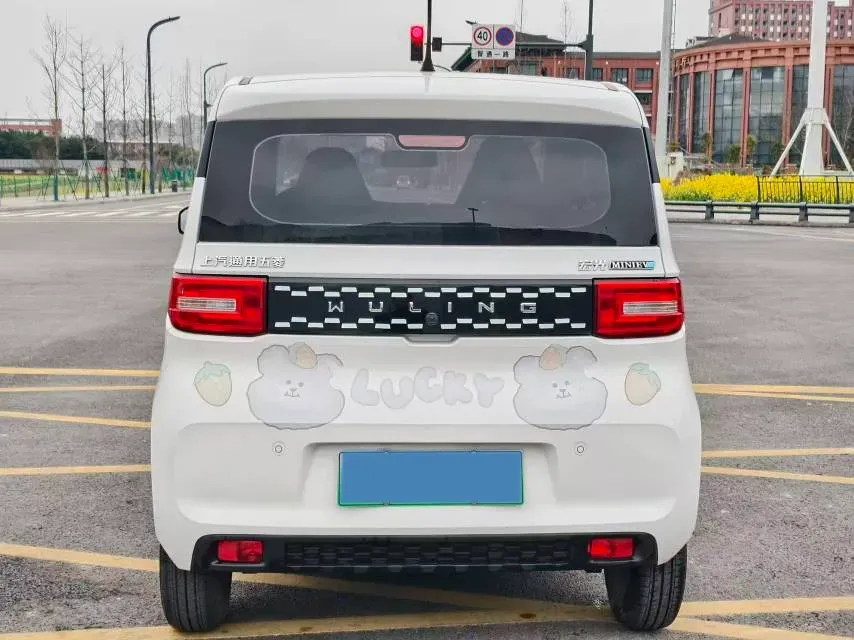 2020 WuLing HongGuang MINI EV BEV 9.3KWH,autocango,china used car exporter,china ev exporter,chinese used car exporter,chinese used ev exporter