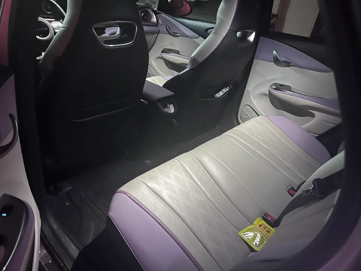 2023 BYD Dolphin BEV 44.928KWH,autocango,china used car exporter,china ev exporter,chinese used car exporter,chinese used ev exporter