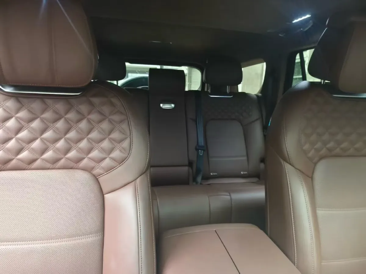 2024 Tank 700 3.0T 360HP V6 9AT PHEV 37.1KWH,autocango,china used car exporter,china ev exporter,chinese used car exporter,chinese used ev exporter