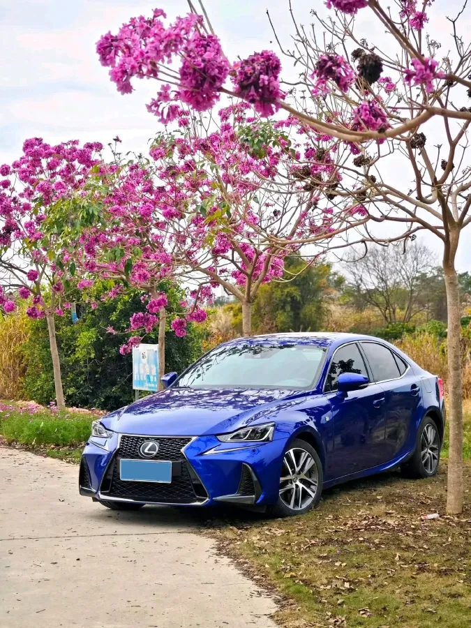 2017 Lexus IS 2.0T 245HP L4 8AT,autocango,china used car exporter,china ev exporter,chinese used car exporter,chinese used ev exporter