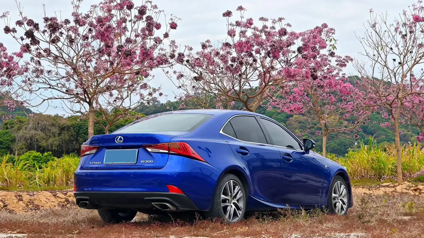 2017 Lexus IS 2.0T 245HP L4 8AT,autocango,china used car exporter,china ev exporter,chinese used car exporter,chinese used ev exporter