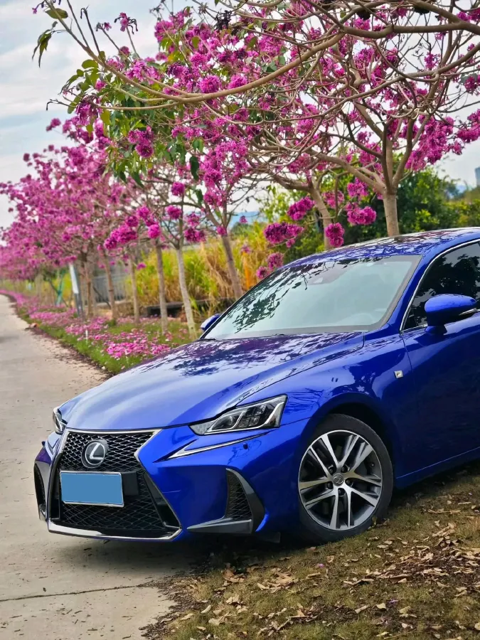 2017 Lexus IS 2.0T 245HP L4 8AT,autocango,china used car exporter,china ev exporter,chinese used car exporter,chinese used ev exporter