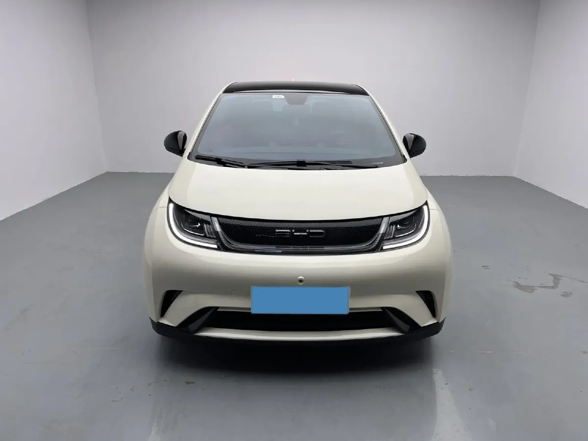 2021 BYD Yuan Pro BEV 50.1KWH,autocango,china used car exporter,china ev exporter,chinese used car exporter,chinese used ev exporter
