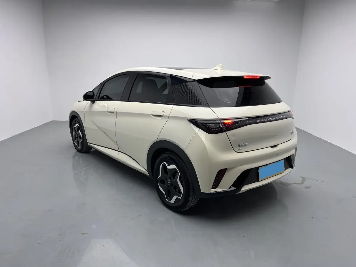 2021 BYD Yuan Pro BEV 50.1KWH,autocango,china used car exporter,china ev exporter,chinese used car exporter,chinese used ev exporter