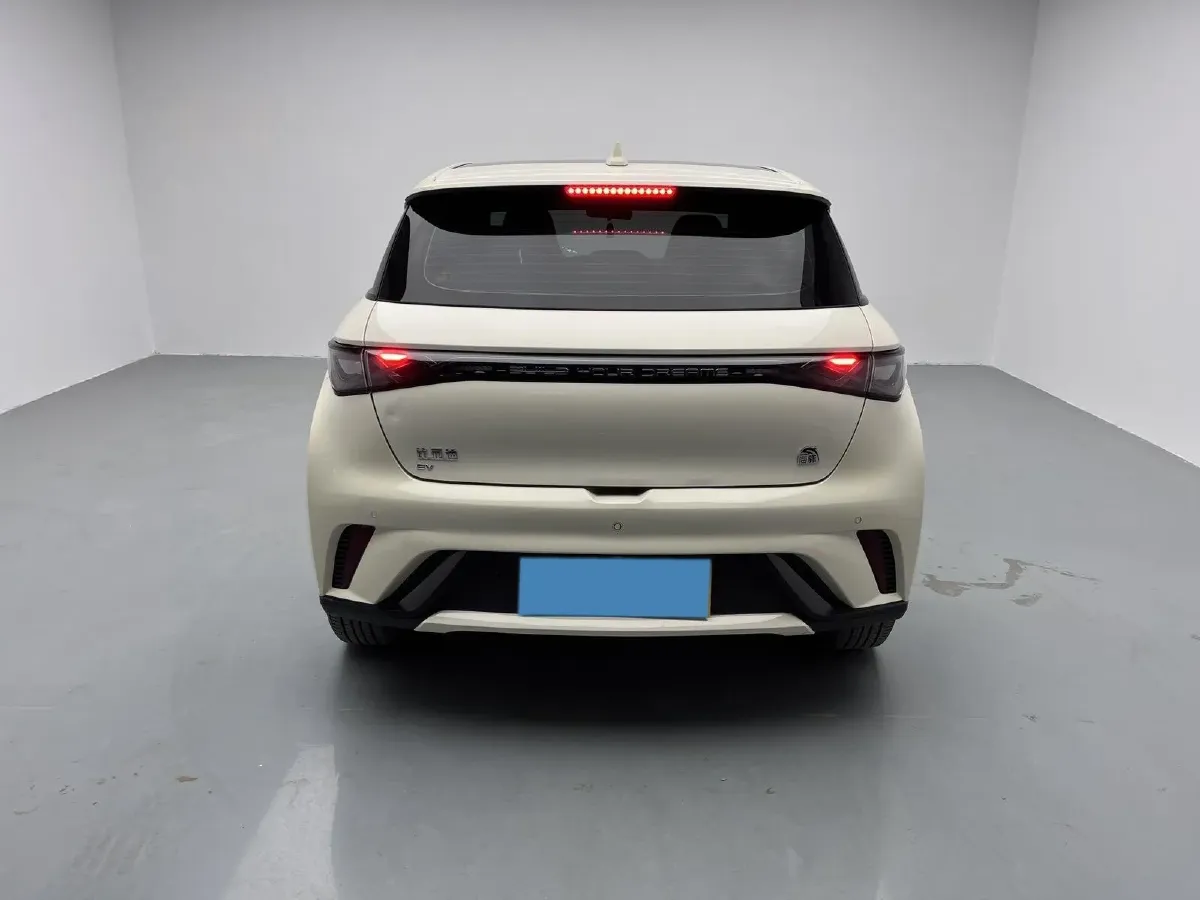 2021 BYD Yuan Pro BEV 50.1KWH,autocango,china used car exporter,china ev exporter,chinese used car exporter,chinese used ev exporter