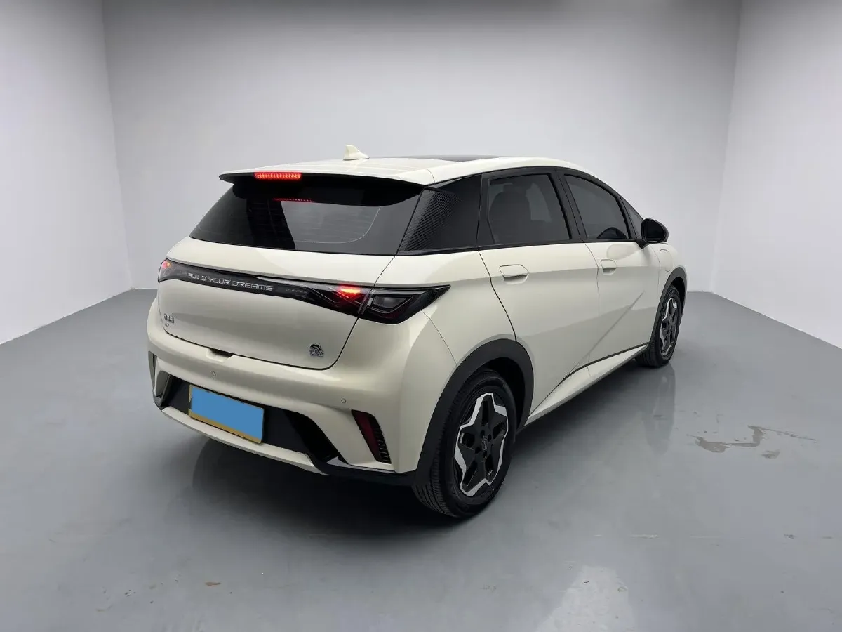 2021 BYD Yuan Pro BEV 50.1KWH,autocango,china used car exporter,china ev exporter,chinese used car exporter,chinese used ev exporter