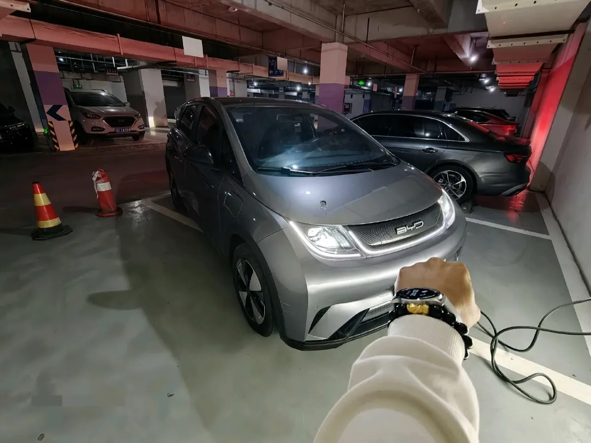 2023 BYD Dolphin BEV 44.928KWH,autocango,china used car exporter,china ev exporter,chinese used car exporter,chinese used ev exporter