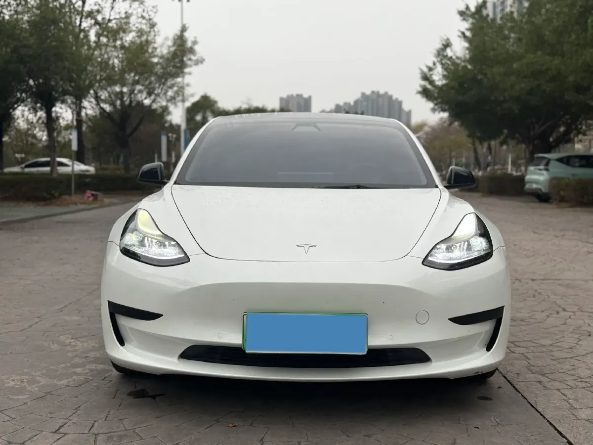 2021 Tesla Model 3 BEV 55KWH,autocango,china used car exporter,china ev exporter,chinese used car exporter,chinese used ev exporter
