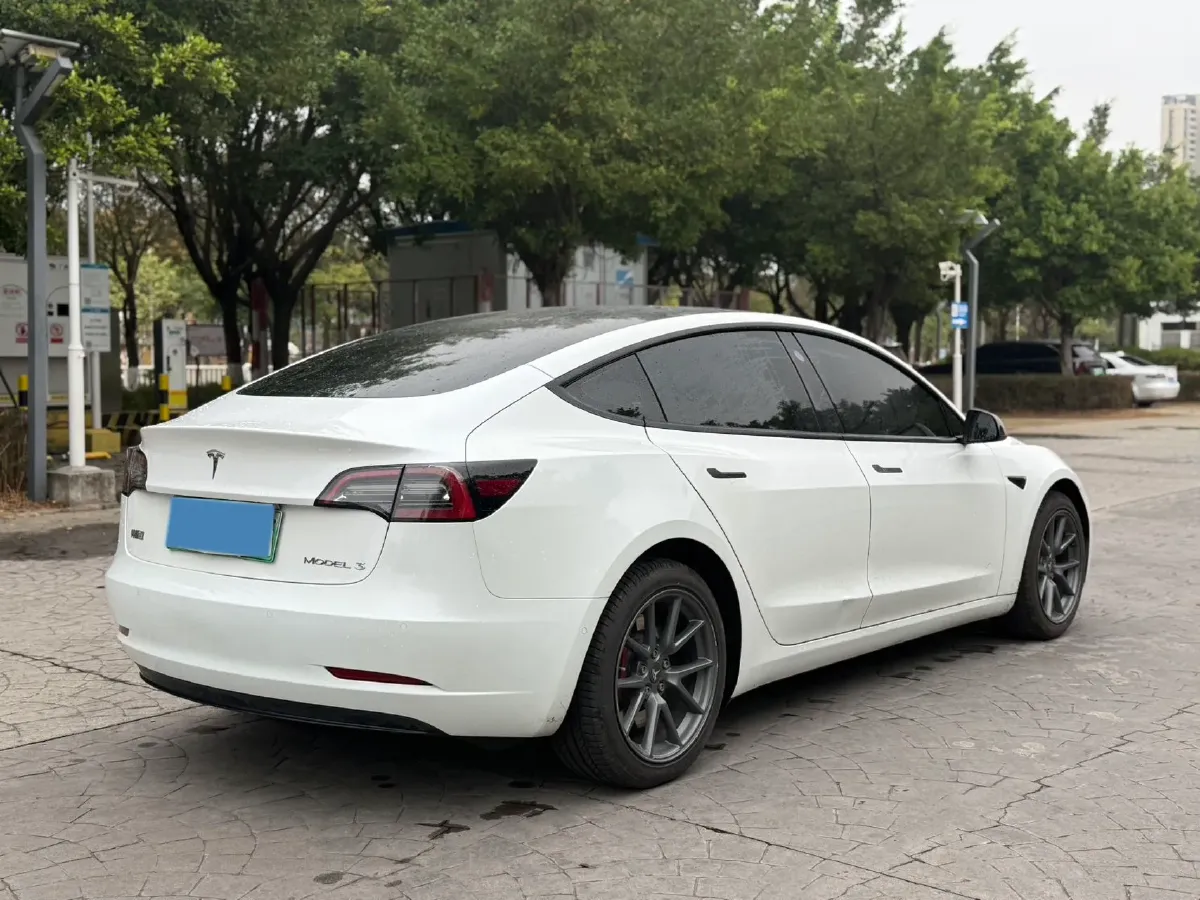 2021 Tesla Model 3 BEV 55KWH,autocango,china used car exporter,china ev exporter,chinese used car exporter,chinese used ev exporter