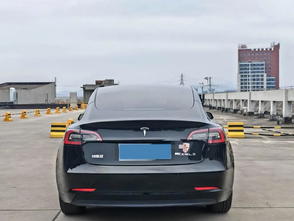 2021 Tesla Model 3 BEV 55KWH,autocango,china used car exporter,china ev exporter,chinese used car exporter,chinese used ev exporter